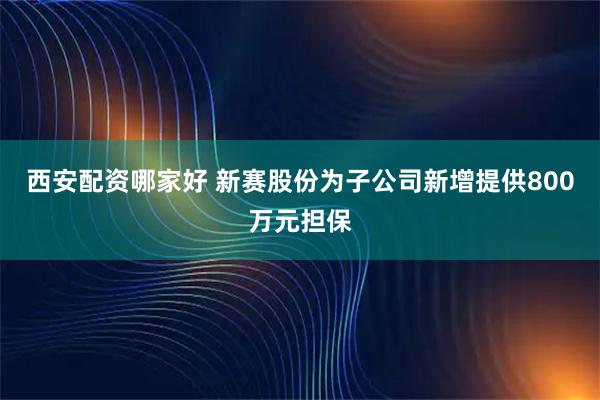 西安配资哪家好 新赛股份为子公司新增提供800万元担保